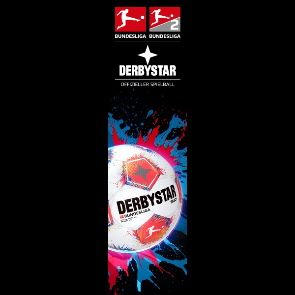 SWFV Partner - Derbystar Derbystar - SWFV Partner