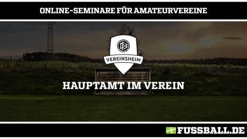 Online-Seminar des DFB