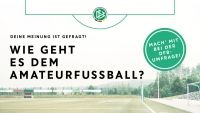 DFB Amateurfußball