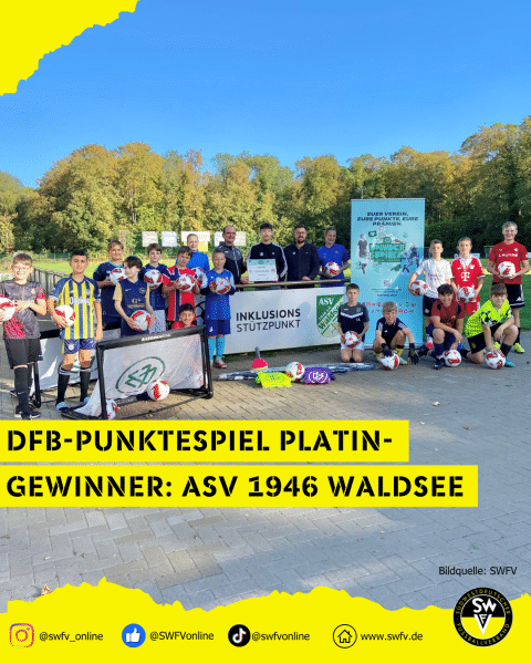 ASV Waldsee DFB Punktespiel Platin